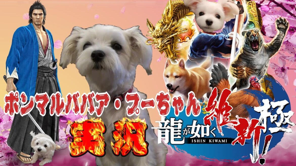 #5 【龍が如く 維新! 極】成すべき事を求めあがく土佐の“オババ(龍)” ババア ゲーム実況!