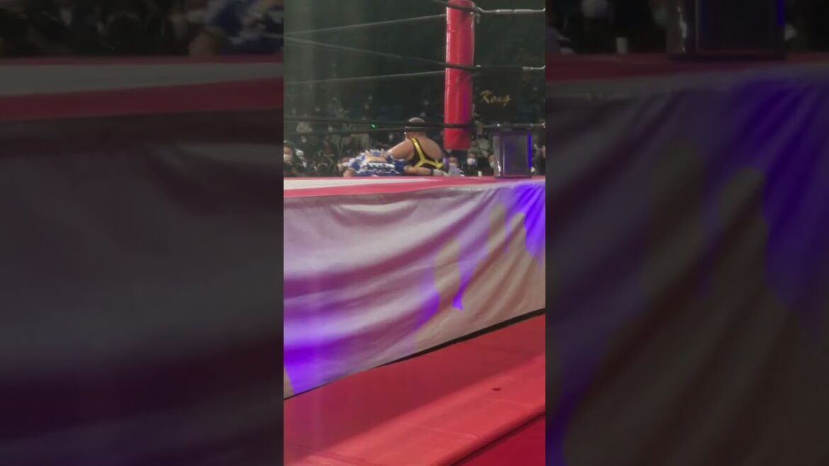 場外戦になったアジャコングと荒井優希が揉み合うも厳しいビンタで荒井が倒れて鉄柱に打ちつけられてしまう 東京女子プロレス「GRAND PRINCESS ’23」 2023年3月18日