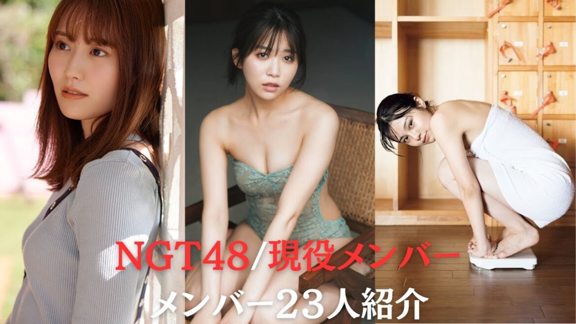 【NGT48/現役メンバー】グラビアや経歴を紹介!