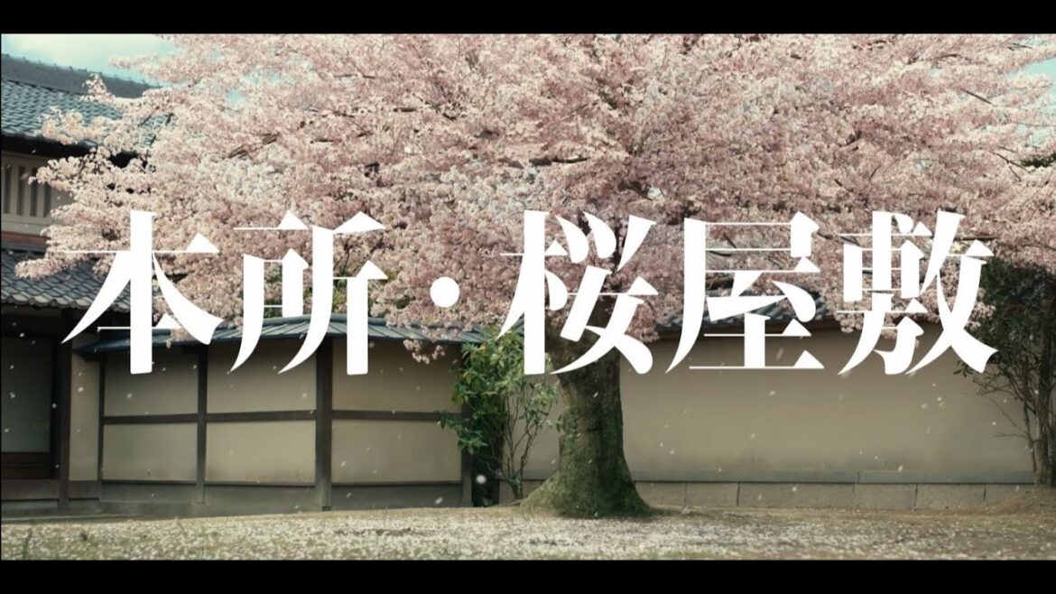 テレビスペシャル「鬼平犯科帳 本所・桜屋敷」(30秒版)