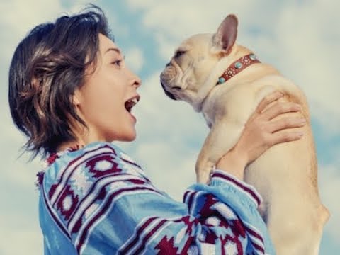 竹内結子の自然な表情に注目! 草なぎ剛の愛犬“クルミちゃん”が CM デビュー/キャノンTVCM『KISS is my life.』篇 30秒版