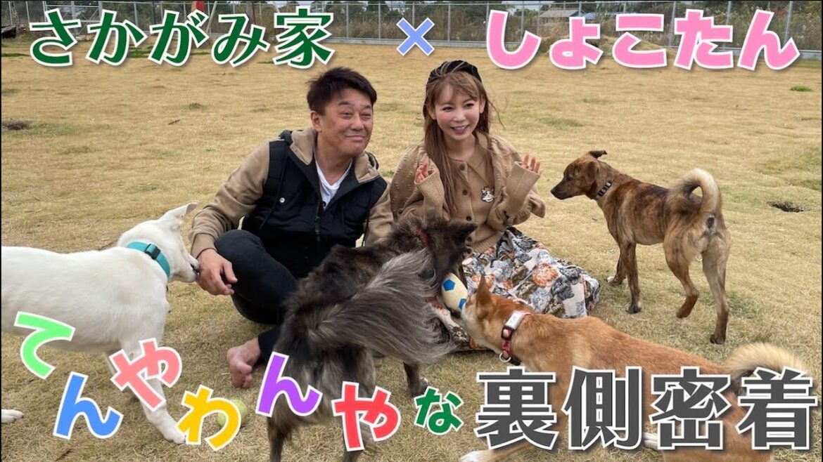 【裏側密着】しょこたんコラボの裏側で、あんな会話やこんな会話が・・・