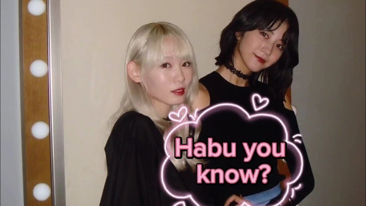 土生瑞穂『Habu you know?』