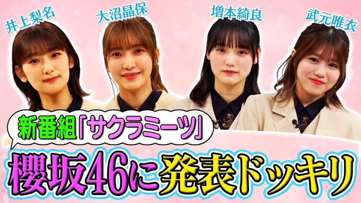 【櫻坂46メンバーにドッキリ】レギュラー冠番組決定の瞬間【サクラミーツ】