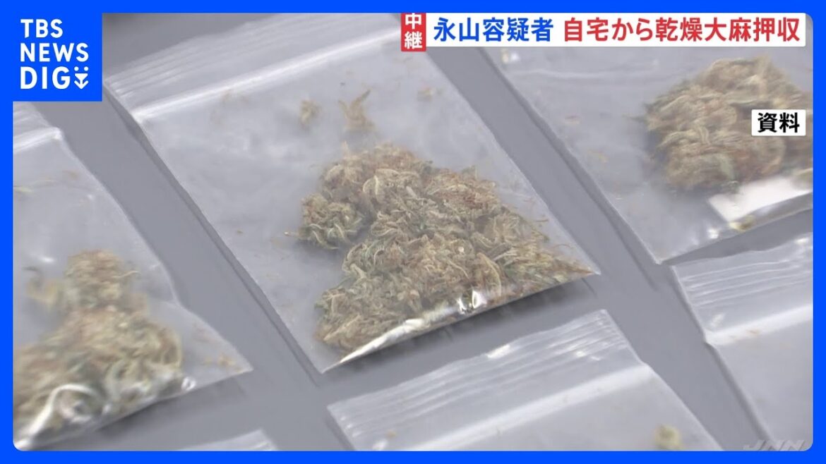 永山絢斗容疑者 「乾燥大麻」押収と判明 認否は明らかにせず 大麻関連の事件は若者で増加傾向【記者解説】|TBS NEWS DIG