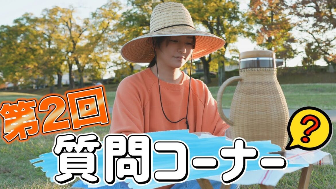 【京都】質問答えます!【紅葉】
