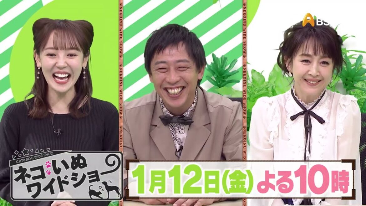 ゲスト:相田翔子【ネコいぬワイドショー】