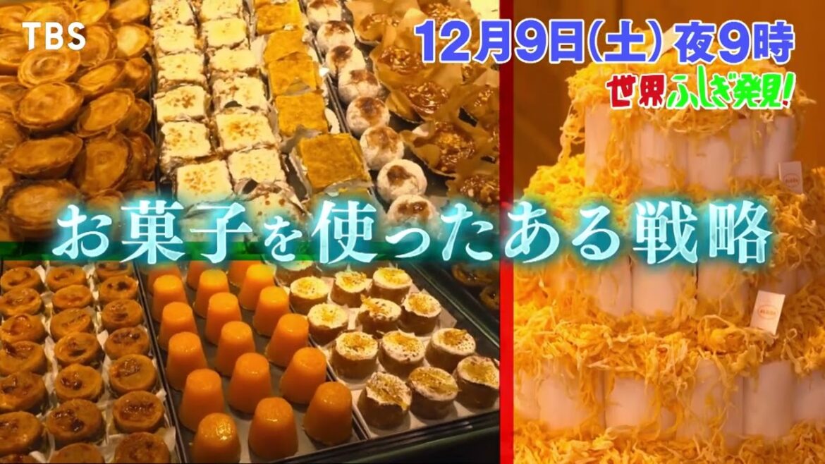 『世界ふしぎ発見!』12/9(土) お菓子が来た道 シュガーロード 〜ポルトガルのお菓子を使った世界戦略〜【TBS】