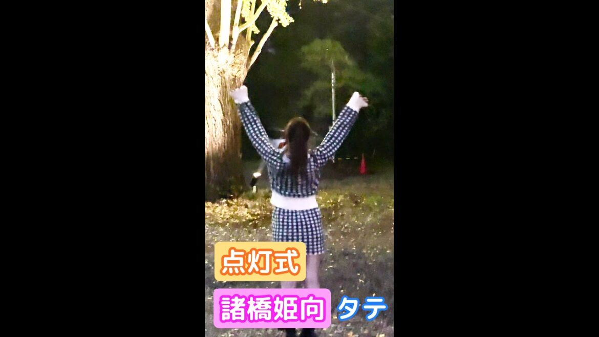 紅葉ライトアップ点灯式「オオイチョウ」諸橋姫向 タテ