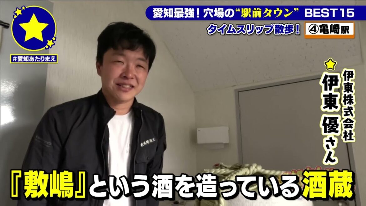 【亀崎駅】愛知最強!!穴場の“駅前タウン”BEST15【愛知あたりまえ】