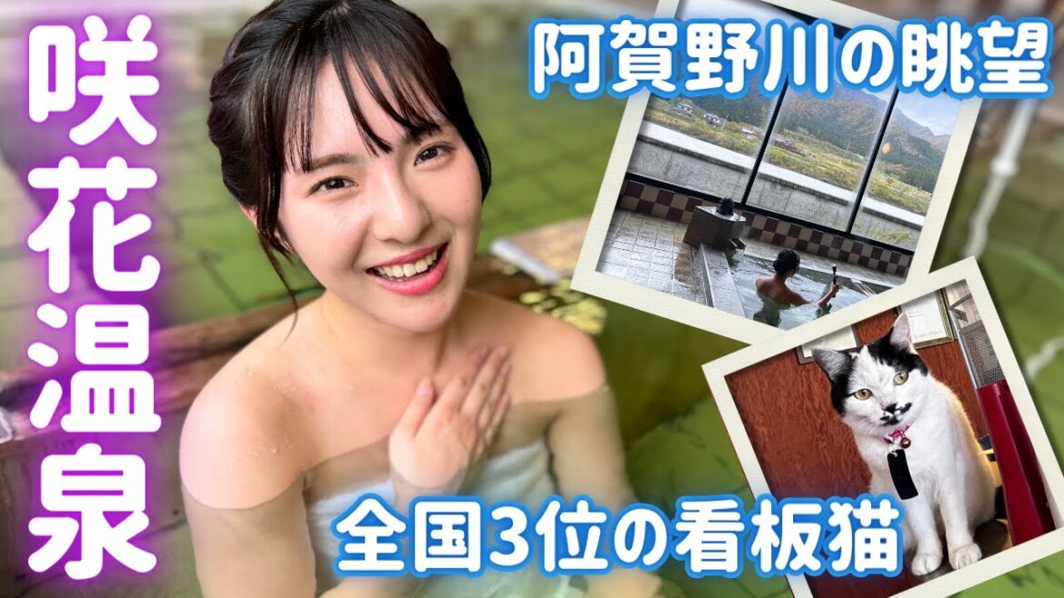 【美肌の湯×看板猫】阿賀野川を望む「咲花温泉」全国3位の看板猫とかくれんぼ!? 温泉ソムリエ大塚七海が体にやさしい硫黄泉でくつろぎのひと時<ガタの湯#10 新潟県五泉市>