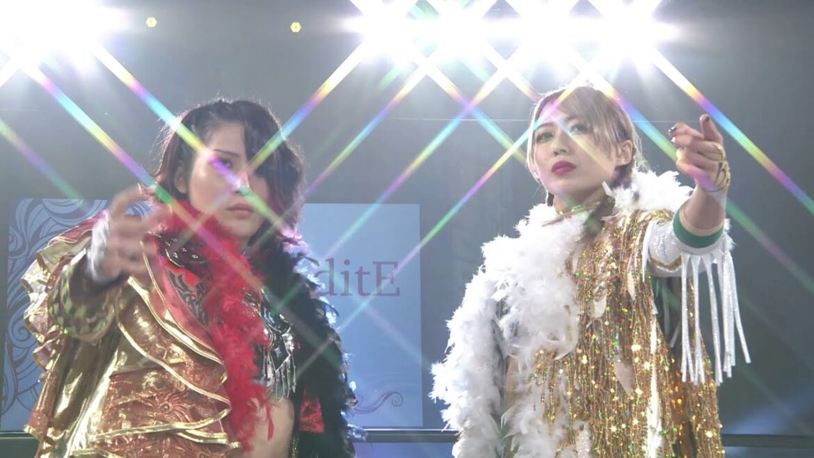【スターダム】復活の林下詩美&上谷沙弥のAphroditEが舞華&メーガン・ベーンのリーグ優勝チームと新ゴッデス・オブ・スターダム新王者決定戦!-12.2名古屋大会-【STARDOM】