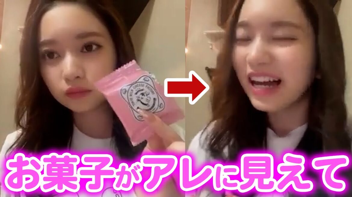 お菓子がアレに見えてシステマ発動 AKB48 奥原妃奈子