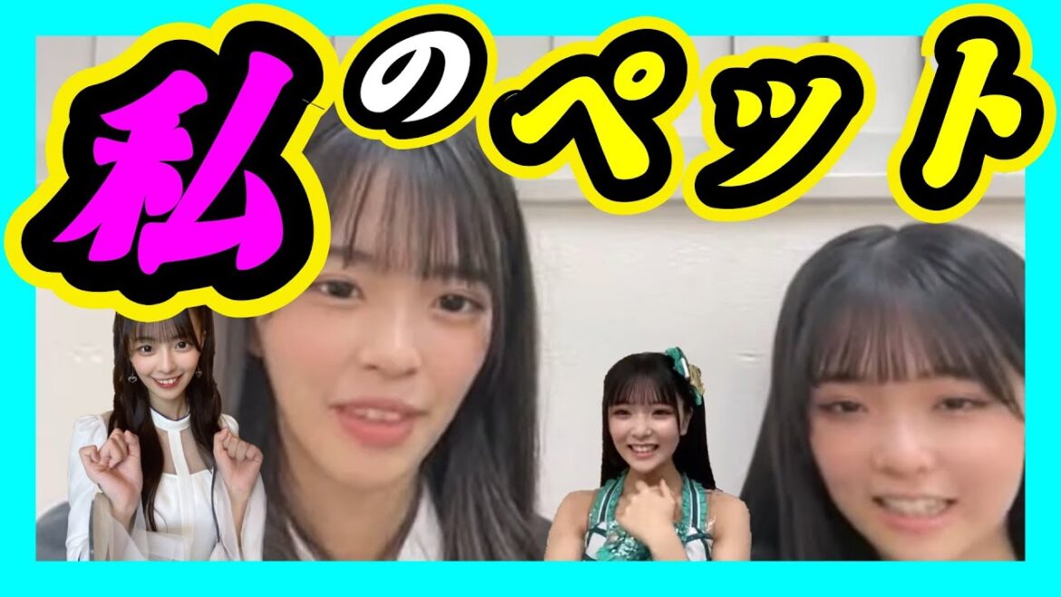 可愛い『ゆきの』はペットのよう。どっちがいい?どっちも嫌。8期のおかんこと田中雪乃ちゃんは二人のペット。 2023年12月26日 【桜田彩叶/田中雪乃】【SHOWROOM/NMB/切り抜き】