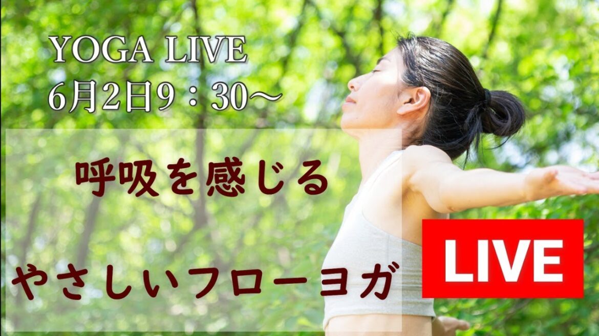 【呼吸を感じる やさしいフローヨガ】15分ライブ配信 #11