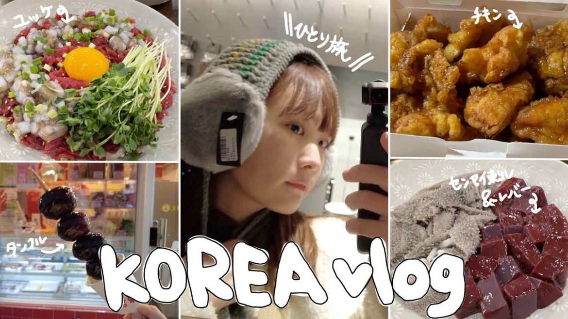 trip vlog|韓国🇰🇷ご飯が美味しすぎて困る。