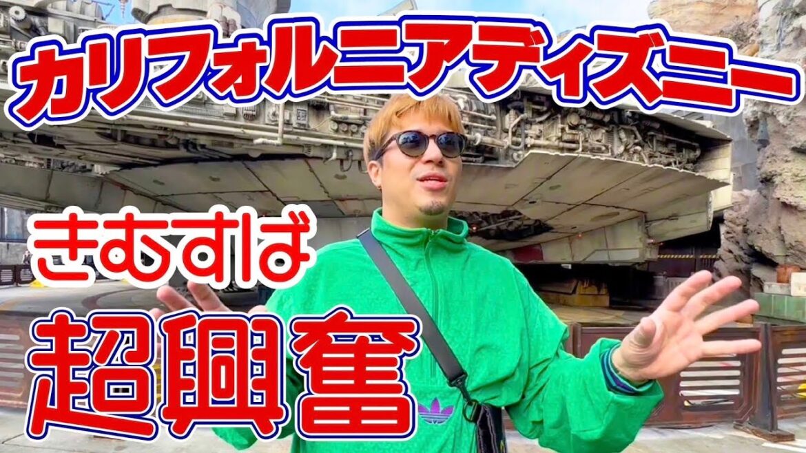 【カリフォルニア③】きむすば、カリフォルニアディズニーランドへ!”スターウォーズのファルコンについて考えてみた”
