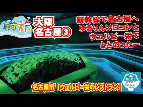【ぼす旅】3日目はゆきりん追いかけ大阪から名古屋へ!ウェルビー栄でととのいまくって喰いまくり!最高だぜー!!【大阪名古屋】