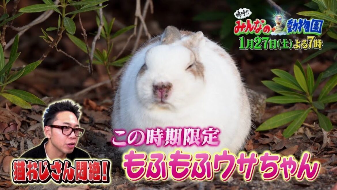 「嗚呼!!みんなの動物園」1月27日土曜よる7時放送【相葉トリミングにヒロミさん参戦!】過去最高難易度のワンちゃんを2人で大変身!