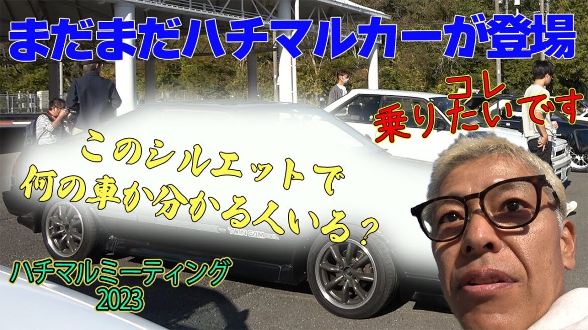 80絶滅危惧車、レッドリスト車。フェラーリ乗るより、この車乗る方が困難です。