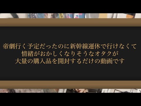 【購入品】Act ONE💘新春帝劇💘vlog💘チケットあるのに入れなかったオタク💘開封動画💘