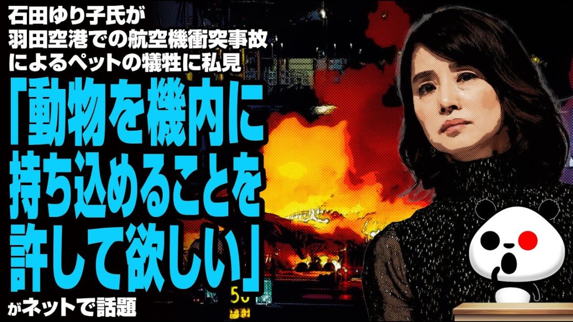 石田ゆり子氏が羽田空港での航空機衝突事故によるペットの犠牲に私見「動物を機内に持ち込めることを許して欲しい」が話題