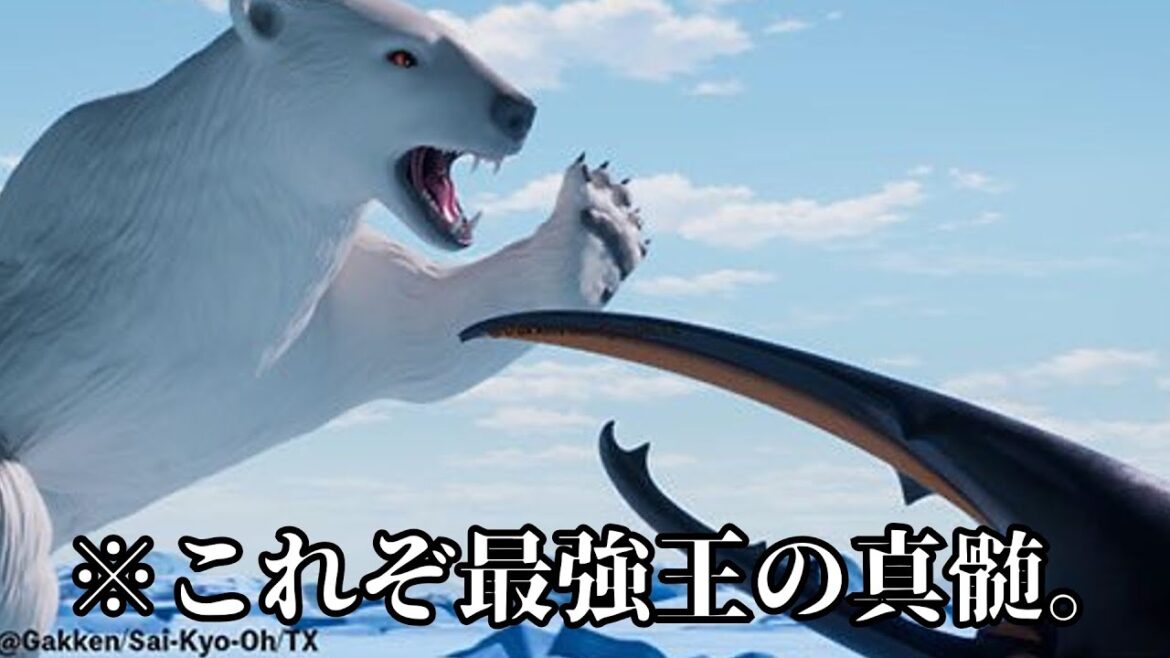 SOTA Mのラジオ配信VOL.35【どうなる今後のアニオリカード!?】#アニメ最強王図鑑 #最強王図鑑