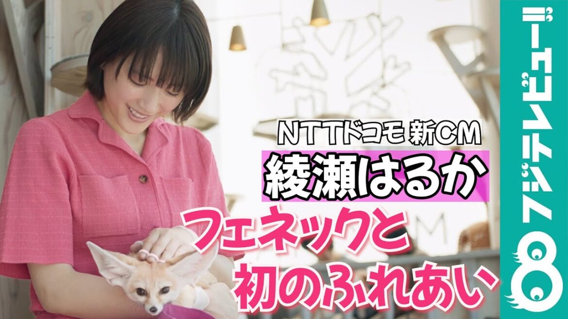 綾瀬はるか、フェネックと生活したら…「毎日楽しそう!」
