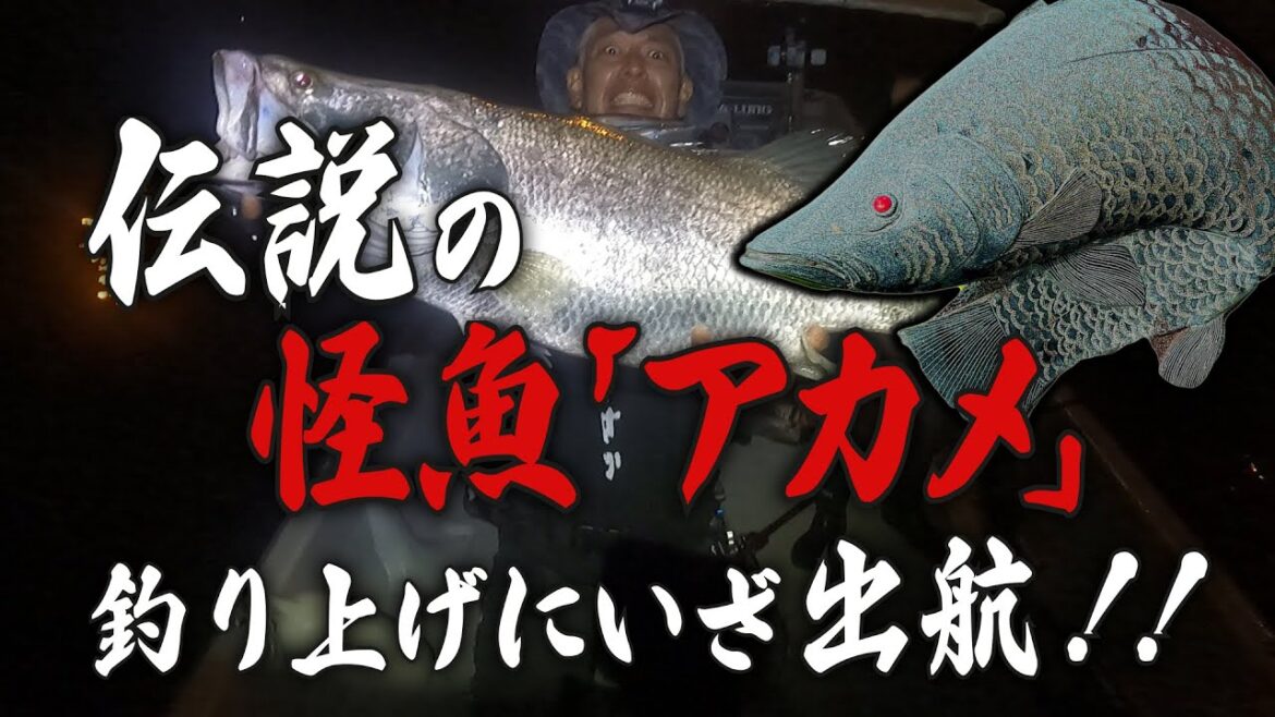 【必見!怪魚ハンター】ロンブー亮、幻の怪魚アカメをルアーで釣り上げる。