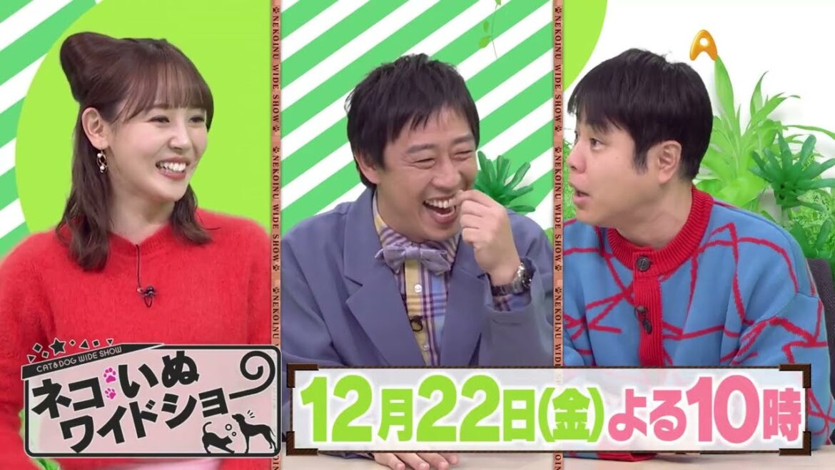 ゲスト:井上裕介(NON STYLE)【ネコいぬワイドショー】