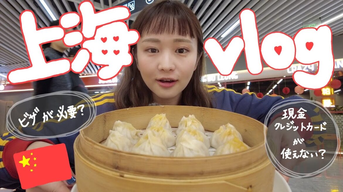 trip vlog|上海🇨🇳旅行方法を徹底解説します!