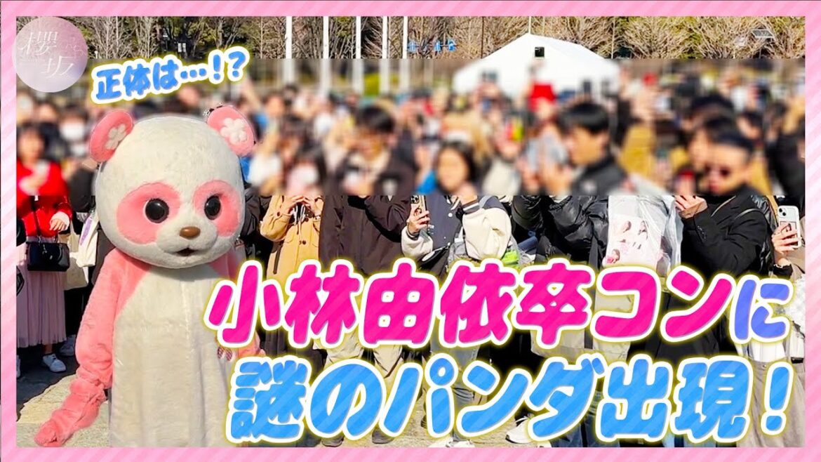 【潜入】「小林由依 卒業コンサート」の会場にパンダが登場!【踊ってみた】