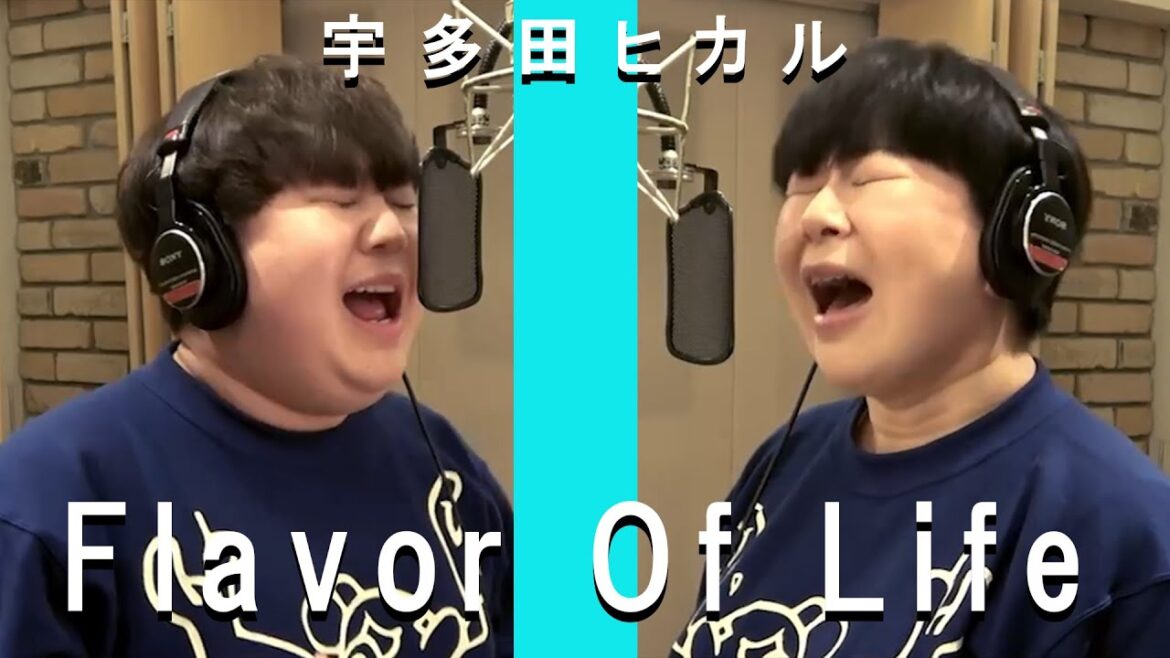 【Flavor Of Life /宇多田ヒカル】 Miyuki Oshima/ Koukun