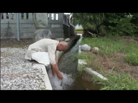 こころ旅 蔵出しスペシャル