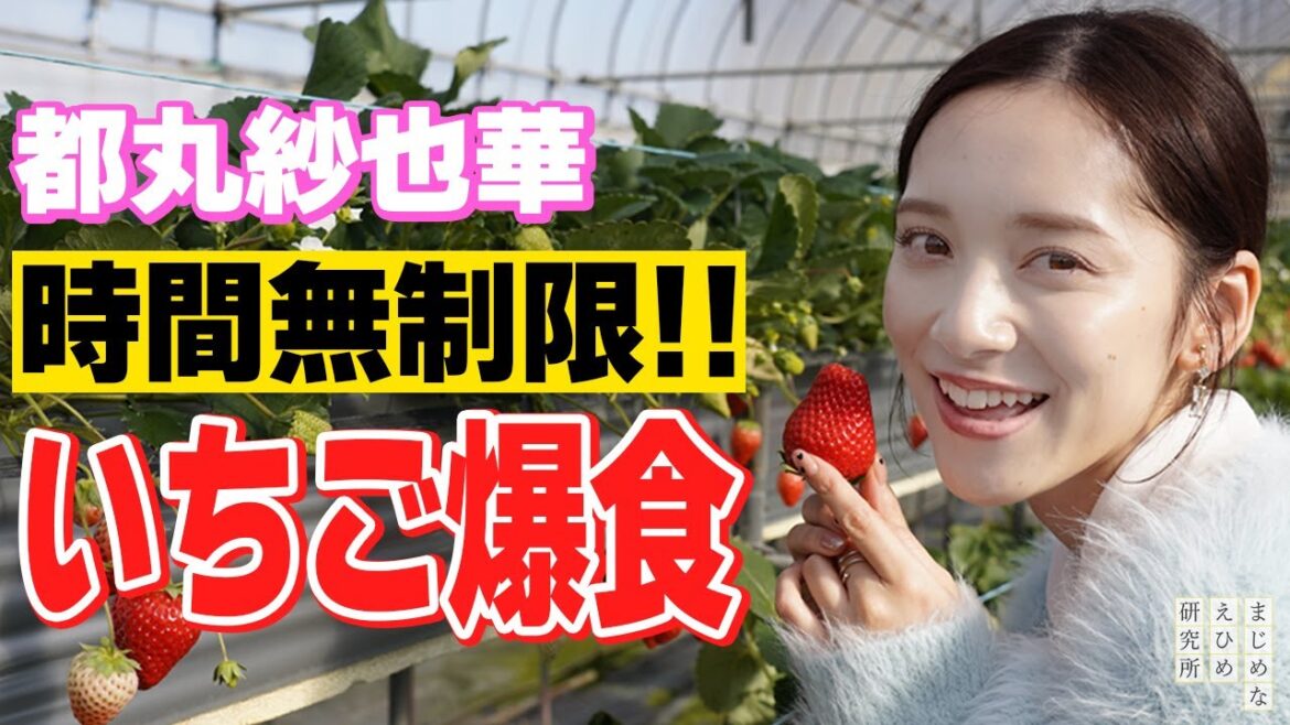 実は 愛媛 はみかんだけじゃない!?都丸紗也華が 今が旬のいちご狩りを体験!