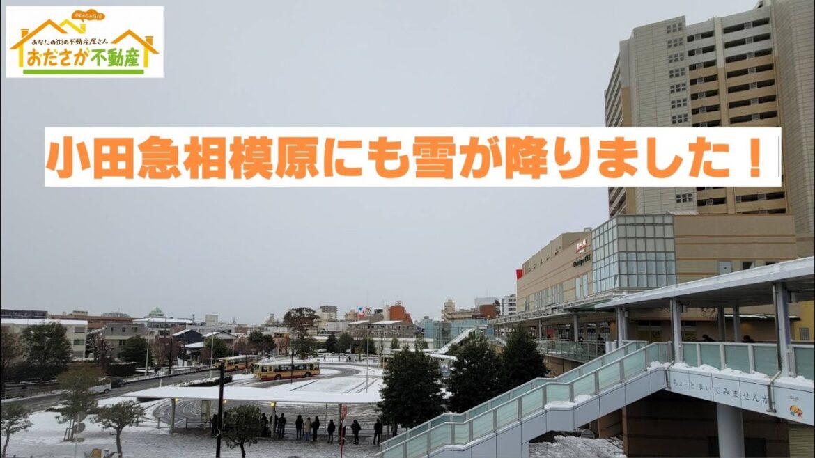小田急相模原にも雪が積もりました! I【おださが不動産株式会社】※小田急相模原(相模原市・座間市)を中心に東京・神奈川各地の地域・不動産などをご紹介。