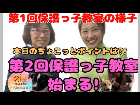 【保護っ子教室】初めての保護っ子教室!!イベント活動.保護っ子の接し方について【お知らせ】#里親募集#坂上忍さんからのプレゼント#桑原みずきさん#さかがみ家#保護犬#保護猫