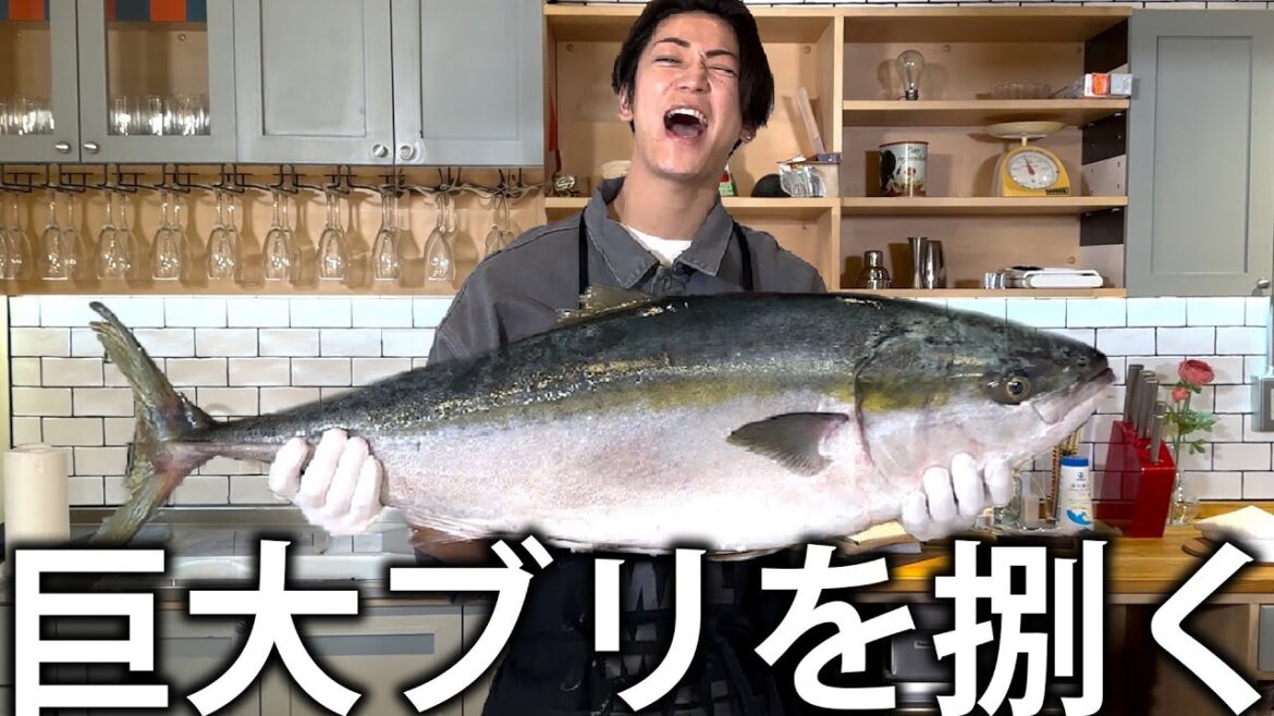 【魚】巨大なブリを入手してしまいました。ブリしゃぶを食べるために新しい包丁で捌いていく!
