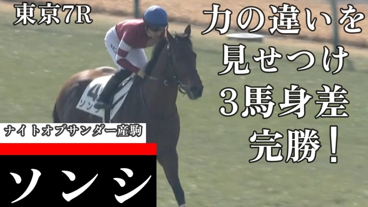 【今日競馬】格の違いを見せつける!川田将雅騎乗の《ソンシ》東京7R3歳1勝クラス 2024/02/10