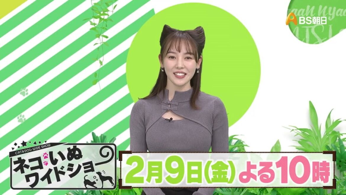 ゲスト:安田美沙子【ネコいぬワイドショー】