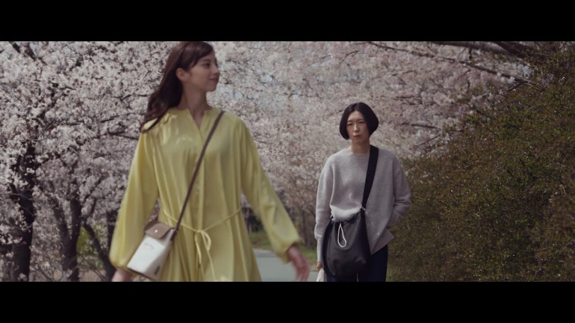 江口のりこvs中条あやみの母娘バトル!映画「あまろっく」予告編