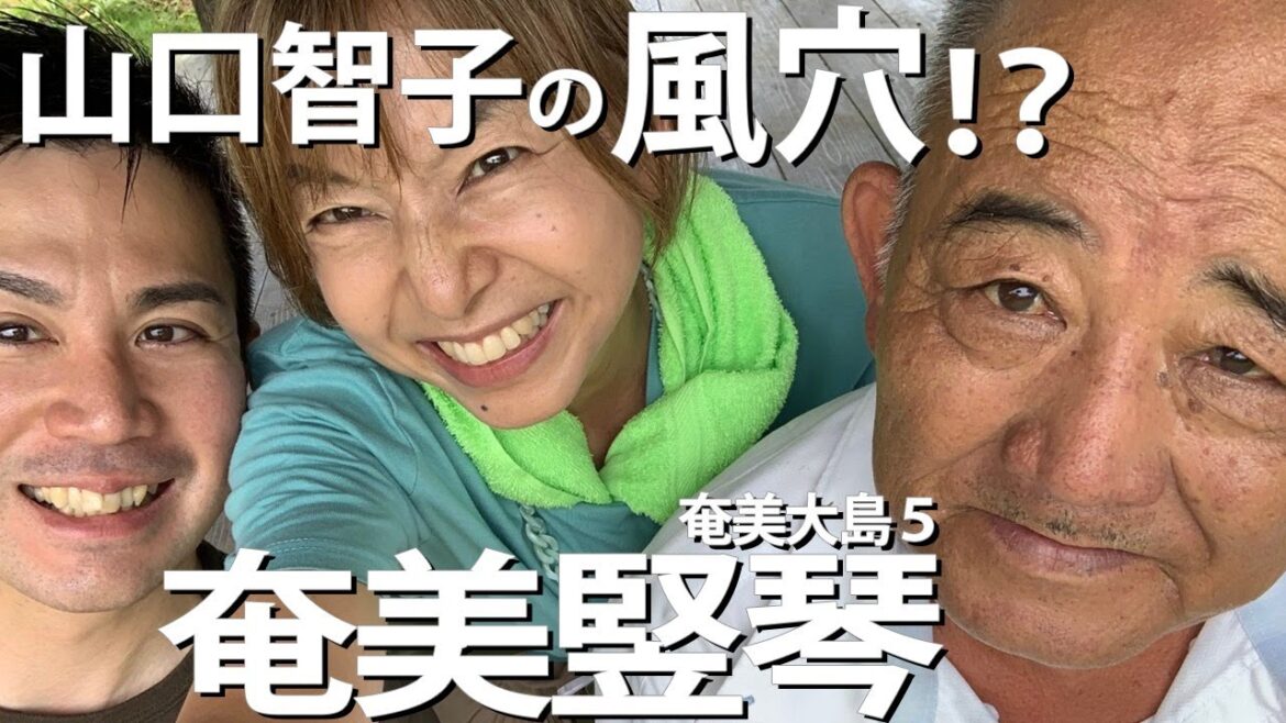 放浪唄者のブルース受け継ぐ 奄美竪琴 奄美大島5