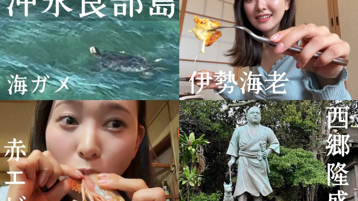 【女ひとり旅】沖永良部島で食い倒れ!!【後編】