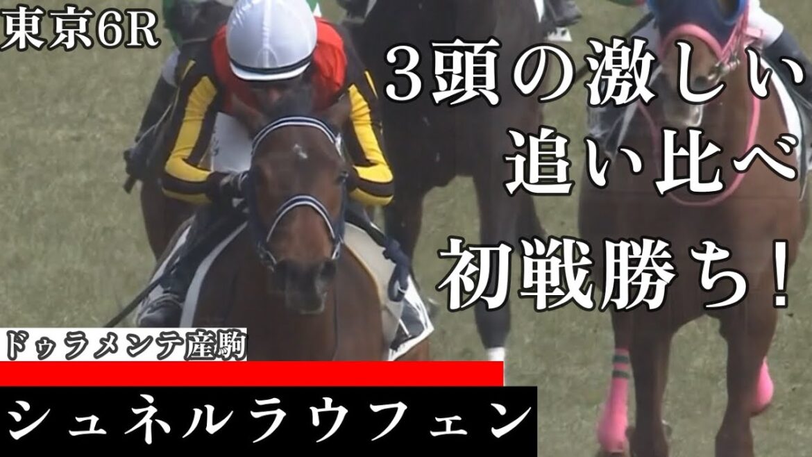 【今日競馬】※4コーナーあたりで危険な落馬事故!シュネルマイスターの半妹が叩き合いを制する!ピーヒュレク騎乗の《シュネルラウフェン》東京6R 3歳未勝利 2024/02/17