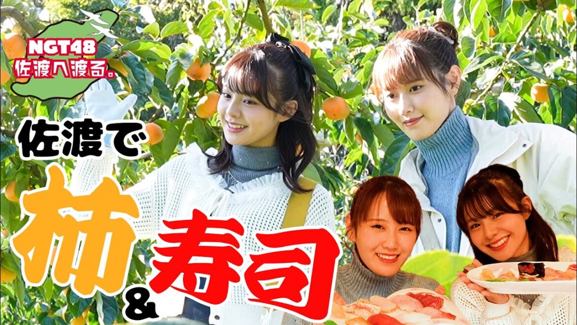 【vlog】NGT48 佐渡へ渡る #25 / 佐渡!柿!寿司!