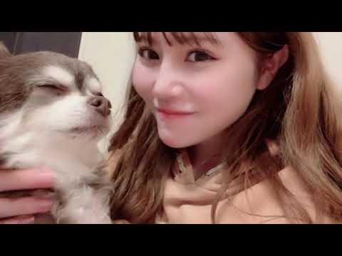 SHOWROOM Haruka Komiyama 込山 榛香 AKB48 2024/03/03 23:14 JST