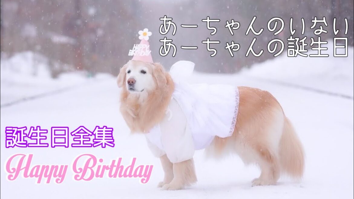 【あーちゃん誕生日全集】あーちゃんのいないあーちゃんの誕生日