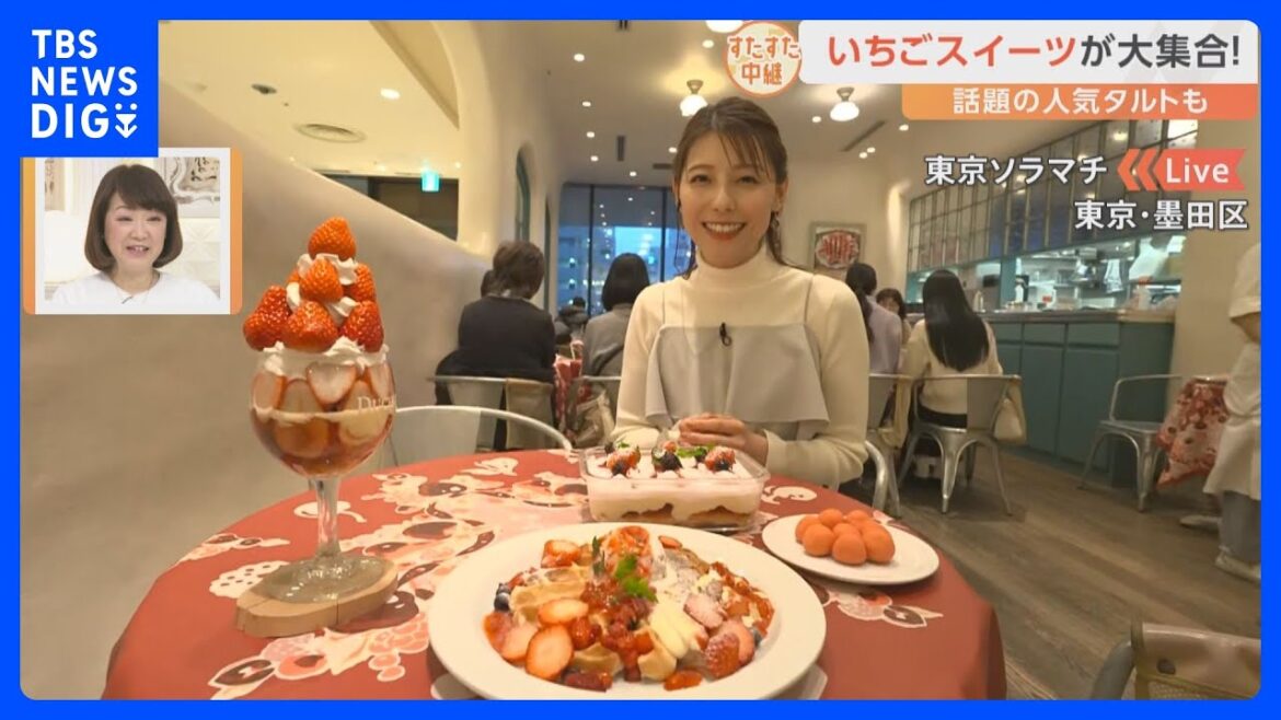 パフェにワッフル!海鮮といちごのカルパッチョも登場!東京ソラマチ「いちごフェア」【すたすた中継】|TBS NEWS DIG
