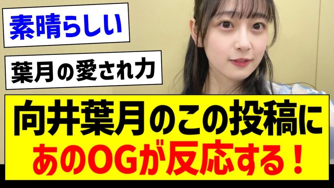 向井葉月のこの投稿にあのOGが反応する!【乃木坂46・坂道オタク反応集・向井葉月】