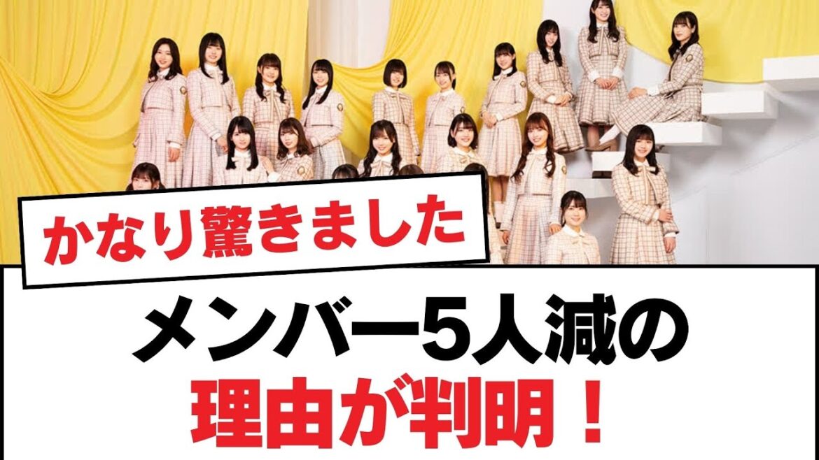 【日向坂46】メンバー5人減の理由が判明!【日向坂・日向坂で会いましょう】